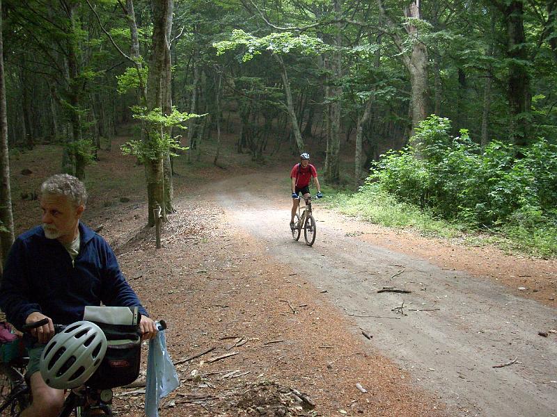 pedalata3 14.jpg